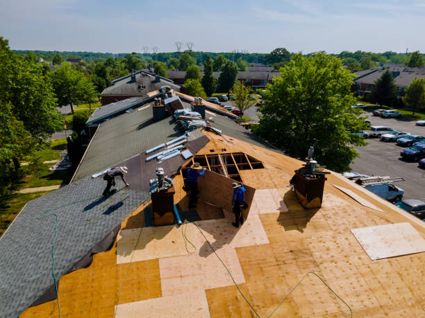 24/7 Emergency Roofing experts in Delhi, LA